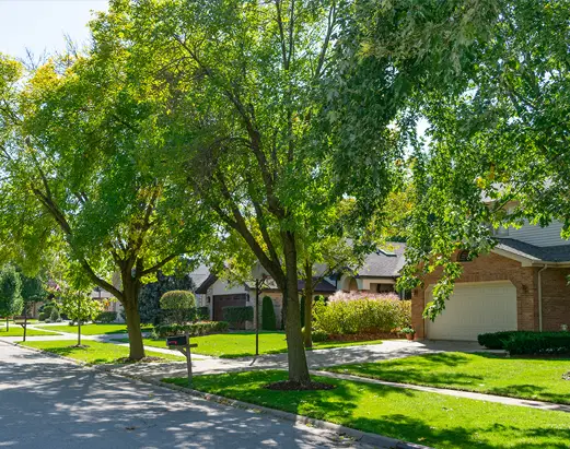 Deerfield - Chicago IL