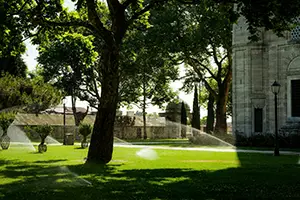 hoa landscape maintenance